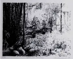 Iwo Zaniewski, Ogród na Pilickiej, 1982, litografia, papier