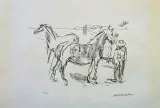Oskar Kokoschka, Konie