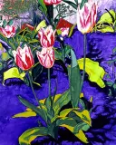 Wiesław Szamborski, BIAŁE TULIPANY, 1994, akryl, olej, płótno