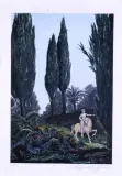 Ernst Fuchs, Naga kobieta na jednorożcu, litografia, papier