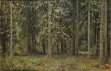 Iwan Iwanowicz Szyszkin, W GŁĘBI LASU, olej, tektura