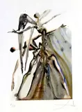 Salvador Dalí, „PIEKŁO”, PIEŚŃ XXI, 1960, drzeworyt,papier krem. żeberk