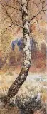 Brzoza, Agra-Art 2001