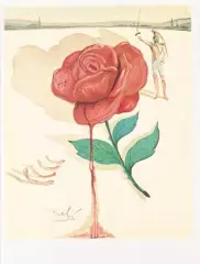 Salvador Dalí, Kawaler róży, mieszana