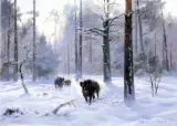 Czesław (I. Zygmuntowicz) Wasilewski, Zimą w lesie
