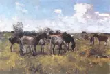 Alfred Wierusz-Kowalski, Stadnina