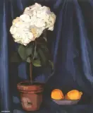 Tamara Łempicka, Martwa natura z cytrynami, olej, płótno