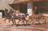 Zygmunt Rozwadowski, Konie w zaprzęgu