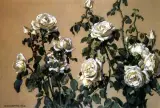 Stanisław Ejsmond, Białe róże, pastel, karton