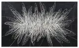 Roberto Crippa, SPIRALE