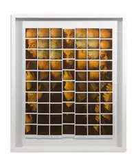 Maurizio Galimberti, TONI SERVILLO, photograph