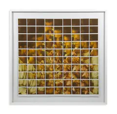 Maurizio Galimberti, AMBRA, photograph