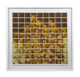 Maurizio Galimberti, AMBRA, photograph