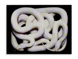 Guido Mocafico, LAMPROPELTIS GETULA CALIFORNIAE, photograph