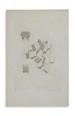 Marcel Duchamp, DA THE LARGE GLASS: THE KING AND THE QUEEN (II VOLUME), print (other)