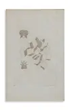 Marcel Duchamp, DA THE LARGE GLASS: THE KING AND THE QUEEN (II VOLUME), print (other)