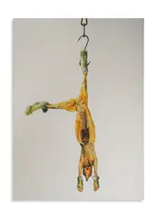 Michelangelo Pistoletto, CONIGLIO, print (other)