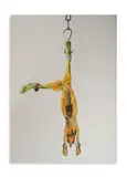 Michelangelo Pistoletto, CONIGLIO, print (other)