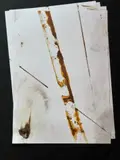 Alberto Pasqual, STELE OBLIQUA
