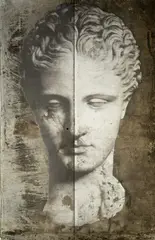 Luca Pignatelli, TESTA FEMMINILE