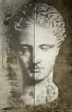 Luca Pignatelli, TESTA FEMMINILE