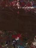 Hermann Nitsch, SENZA TITOLO