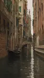 Raffaele Tafuri, Ponte del Lovo a Venezia
