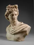 Busto raffigurante l'Apollo del Belvedere by Scultore Italiano Del Xix-Xx Secolo, sculpture, sold Jun 2026