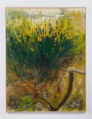 Giancarlo Cazzaniga, GINESTRE AL CONERO