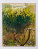 Giancarlo Cazzaniga, GINESTRE AL CONERO