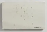 Vincenzo Agnetti, OLTRE IL LINGUAGGIO