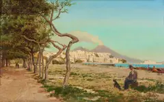Vincenzo Caprile, Veduta di Napoli, il Vesuvio sullo sfondo