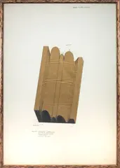 Cesare Tacchi, SEGMENTO DI CORNICE MODULARE. STUDIO N.1
