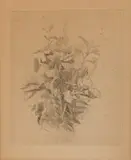 Giorgio Morandi, FIORI DI CAMPO, print (other)