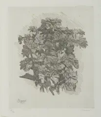 Giorgio Morandi, GRUPPO DI ZINNIE, print (other)