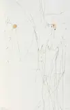 Alberto Burri, DA 17 VARIAZIONI SU TEMI PROPOSTI PER UNA PURA IDEOLOGIA FONETICA, print (other)