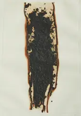 COMBUSTIONE by Alberto Burri, print (other), sold Nov 2025