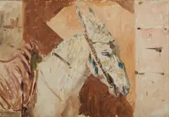 Odoardo Toscani, Asinello al Cairo