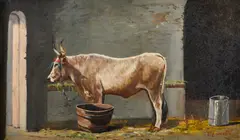 Valerio Laccetti, Attribuito a. Bue nella stalla