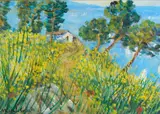 Michele Cascella, GINESTRE SUL PROMONTORIO (INIZI ANNI '80)