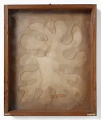 Remo Bianco, 3D TRASPARENTE-PLASTIQUE