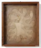 Remo Bianco, 3D TRASPARENTE-PLASTIQUE