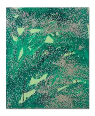 Tano Festa, CORIANDOLI (VERDE)