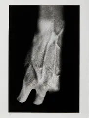 Dino Pedriali, SENZA TITOLO, photograph