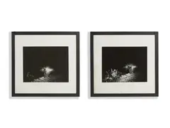 Urs Lüthi, AUTORITRATTO ALLA LUCE DEI FARI, photograph