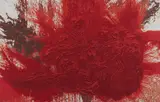 Hermann Nitsch, SENZA TITOLO, print (other)