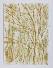 Giuseppe Penone, IL VERDE DEL BOSCO