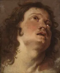 Antoon Van Dyck, Studio di testa di San Sebastiano