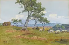 Filippo Anivitti, Gregge nella Campagna romana