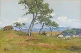 Filippo Anivitti, Gregge nella Campagna romana